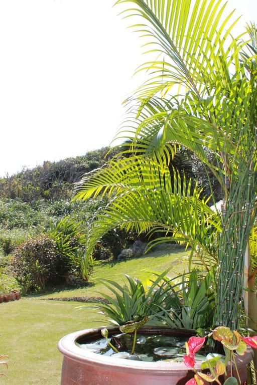 La Casita Kouri Villa Nakijin Exterior photo